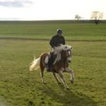 Patrick Ansorge - @ansorgepatrick - Instagram