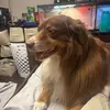 Patrick Stouder - @patrick.stouder8 - TikTok