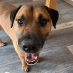 Patrick Spalding - @spaldingpatrick1027 - Instagram