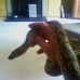 Patrick Sparger - Facebook