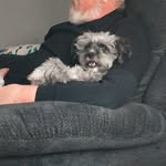 Patrick Speer - @doogens1 - Instagram