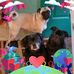 Patrick Speers - Facebook