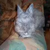 Patrick Speich - @patrick.speich - TikTok