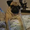 Patrick Speichert - @patrick.speichert - TikTok