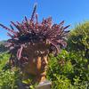 Patrick’s Plants - @patricksplants.com - TikTok