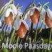 Patrick Spoor - Facebook