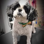 Patrick Sandrine Sprenger - @patricksandrinesprenger - Instagram
