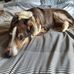Patrick Squires - Facebook