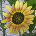 Patrick Staab - Facebook