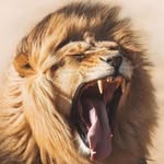 Patrick Staab - @staab_patrick - Instagram