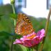 Patrick Stabler - Facebook