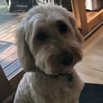 Patrick Stacey - Facebook