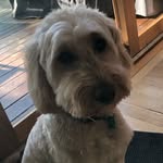 Patrick Stacey - @patrickstacey46 - Instagram