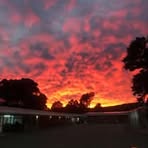 Patrick Stacey - Facebook
