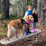 Patrick Stafford - @pdstafford - Instagram
