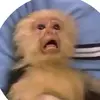 Patrick - @patrickstallings - TikTok