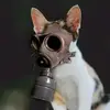 патрик - @patrick_stalker - TikTok