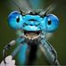 Patrick Stamm - Facebook