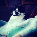 Patrick Stead - @swagger___jagerr_spamzz1906 - Instagram
