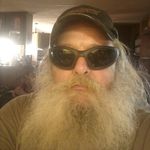 patrick steadman - @steadmanpatrick - Instagram