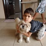 gean patrick steffens - @geanpatricksteffens8227 - Instagram