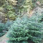 Patrick Stemper - @stemper.patrick - Instagram