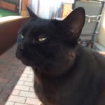 Patrick Stephany - @petz_stephany - Instagram