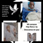 Reinaldo Alvario - @stephany_patrick_reinaldo - Instagram
