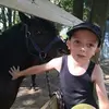 Patrick Steppe - @patricksteppe - TikTok