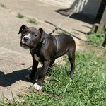 Patrick Sterner - @patrick.sterner.79 - Instagram