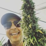 Patrick Stevens - @pattekx - Instagram