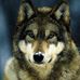 Patrick Stockinger - Facebook