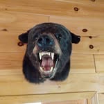Patrick Stowe - @flawed66 - Instagram