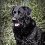 Patrick Stowell - @patrick_stowell01 - Instagram