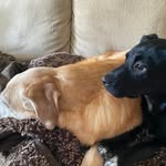 Patrick Sugrue - @sugruepm - Instagram