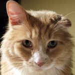Patrick Sugrue - @patrick.sugrue.5 - Instagram
