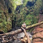 Patrick Suter - @patrick.suter.5895 - Instagram