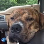Timothy Patrick Swords - @ysts07 - Instagram
