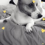 Patrick Szymanski - @ngtc59860 - Instagram