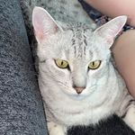 Patrick Taber - @taberpatrick - Instagram