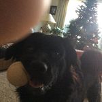 Patrick Taber - @pmtaber3 - Instagram