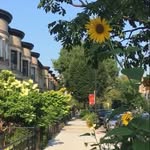 Patrick Edward Tarpey - @thebrooklynsunflower - Instagram