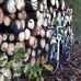 Patrick Terpstra - Facebook