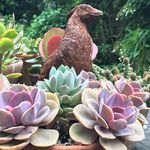 PatrickTerrien256 - @patrickterrien256 - Instagram