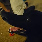 Patrick Thao - @clams_chowders - Instagram