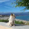 patrick.thao32 - @patrick.thao - TikTok