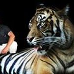 Patrick Theisen - @patricktheisen13 - Instagram