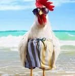 Patrick Thibodeau - Facebook