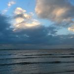Patrick Thiele - @patrickthiele00 - Instagram