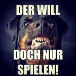 Patrick Thiele - @patrickthiele_618 - Instagram